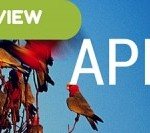 List of Best Islamic App 18 List of Best Islamic App