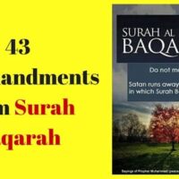Lesson from Surah Baqarah