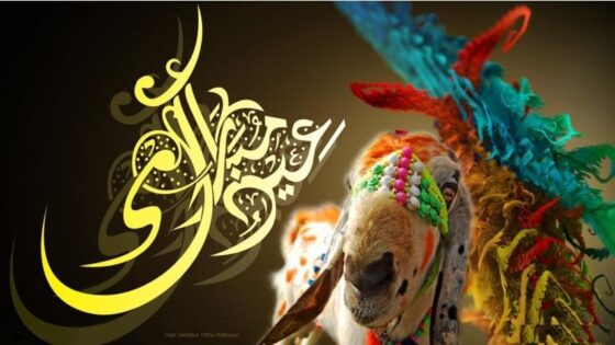 Why Muslims Sacrifice Animals on Eid ul Adha?
