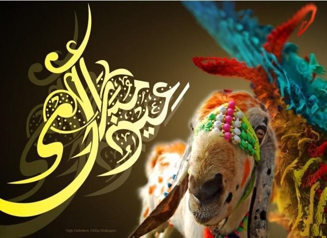 Why Muslims Sacrifice Animals on Eid ul Adha?