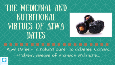 the virtue of Ajwa date and hadiths on ajwa dates