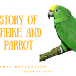 The Sheikh and his Parrot who recited the Quran 21 The Sheikh and his Parrot who recited the Quran
