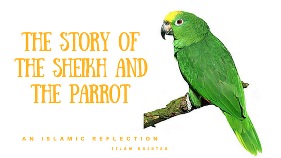 The Sheikh and his Parrot who recited the Quran