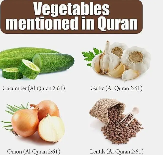 https://islamhashtag.com/wp-content/uploads/2017/04/food-in-pregnancy-food-from-quran.jpg