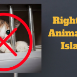 13 Rights of Animals in Islam, Animal rights according to Quran and Hadith.