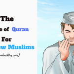The message of Quran for the New Muslims 16 The message of Quran for the New Muslims