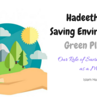 Are we responsible for the World we live in ? Some Hadeeth on Saving environment