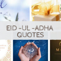 25 Islamic Status and Islamic Quotes on Eid ul Adha