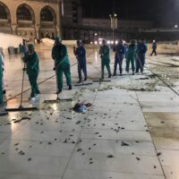 Millions of Black Cricket swarms Makkah