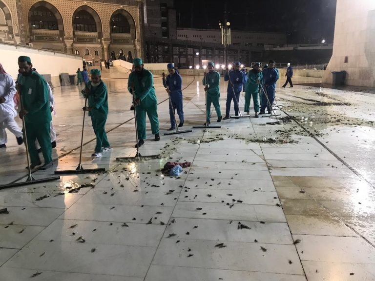 Millions of Black Cricket swarms Makkah