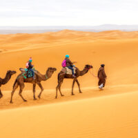Pilgrims may soon be able to imitate Hijrah to Madina on Camel backs.