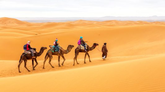 morocco camel sahara desert intrepid travel