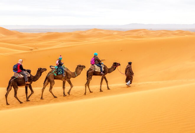 Pilgrims may soon be able to imitate Hijrah to Madina on Camel backs.