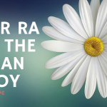 Leadership Lesson from Story of Umar RA and the Roman ambassador. 18 Leadership Lesson from Story of Umar RA and the Roman ambassador.