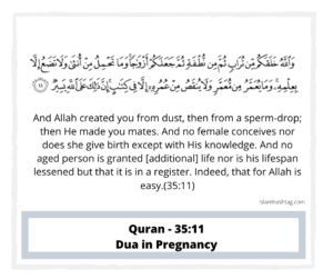 quran 35:11