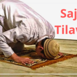 Meanings of verses of Sajda Tilawat/Ayah of Prostration in Quran. 16 Meanings of verses of Sajda TilawatAyah of Prostration in Quran.