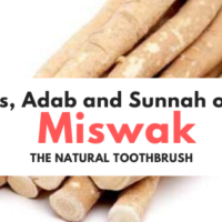 Things you must know about Miswak