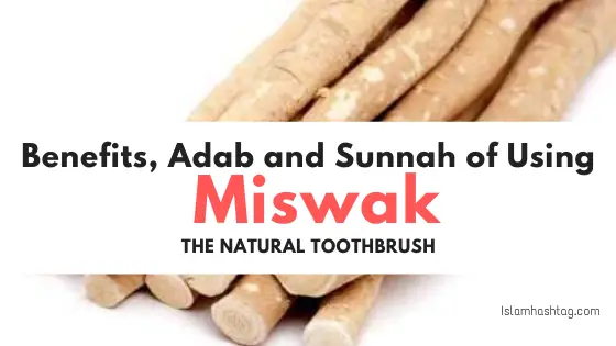 Things you must know about Miswak