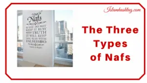 the 3 types of nafs people have- nafs-e-ammara, nafs-e-lawwama and nafs-e-mutmainna.