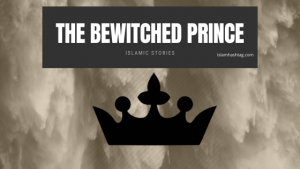 the bewitched prince