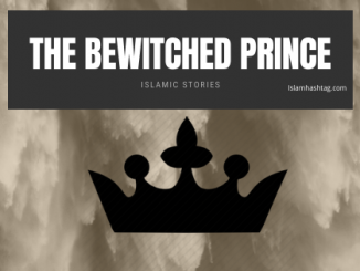 the bewitched prince