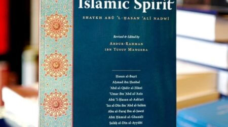 saviours of islamic spirit : tarikh-i da’wat wa azimat