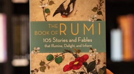 the book of rumi: 105 stories and fables that illumine, delight, and inform