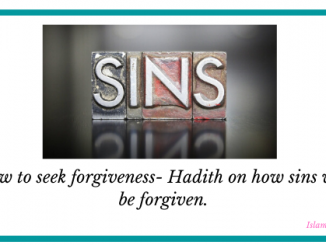 hadith on sins