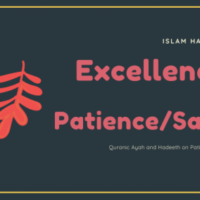 20 Quranic Ayah and Hadith on Patience/sabr.