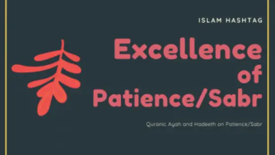 20 Quranic Ayah and Hadith on Patience/sabr.