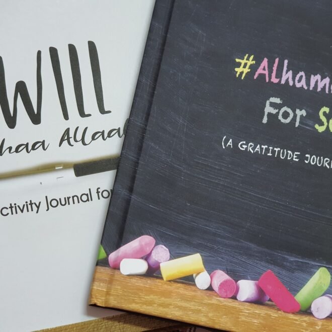 Ayeina Productivity Journals review