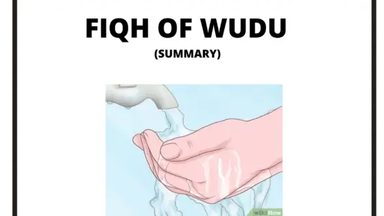 Fiqh of Wudu/ wudhu  (Summary)
