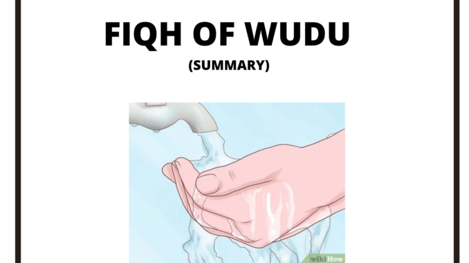 fiqh of wudu