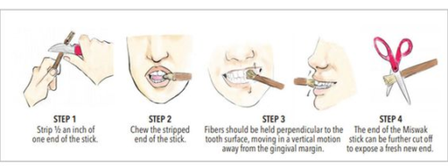 how to use miswak