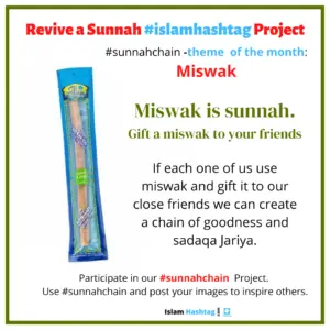 Islamic Articles 280 sunnahchain miswak