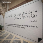 Qatar displays Prophetic Hadith ahead of FIFA World Cup to introduce the World to Islam.