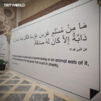 Qatar displays Prophetic Hadith ahead of FIFA World Cup to introduce the World to Islam.