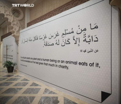 Qatar displays Prophetic Hadith ahead of FIFA World Cup