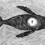 Which plant did Prophet Yunus Alaihe salam placed on his body after coming out of Fish's stomach? 17 Which plant did Prophet Yunus Alaihe salam placed on his body after coming out of Fishs stomach