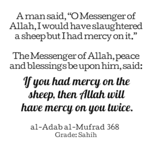 Hadeeth on Intentions