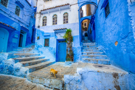 Best Honeymoon Destinations For Muslims In 2024