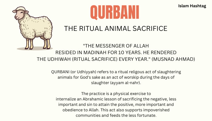 How to Distribute Qurbani Meat amongst 7 shareholders?