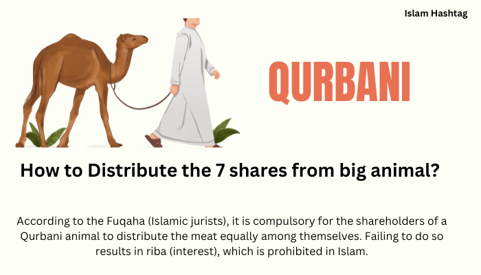 How to Distribute Qurbani Meat amongst 7 shareholders?