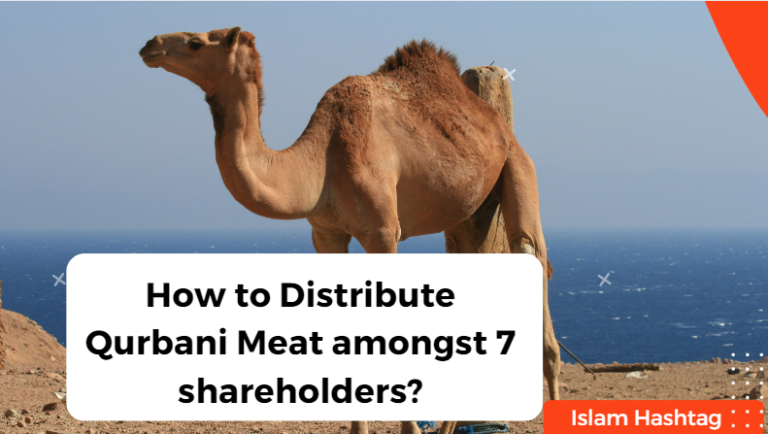 How to Distribute Qurbani Meat amongst 7 shareholders?