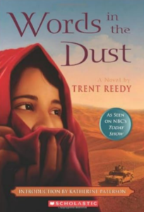 Novels for Muslim teenagers