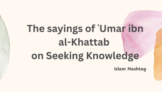 umar ibn al khattab on seeking knowledge
