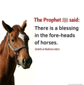 The Horses of the Prophet Muhammad