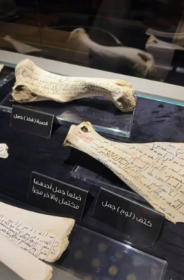 Basement Library of Masjid Nabawi:Less known Place in Madina