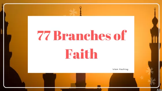 Quran Notes and reflection on Quran 51 77 branches of Faith